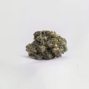 Apple Jax (SDH)