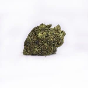 Biscotti (IDH)