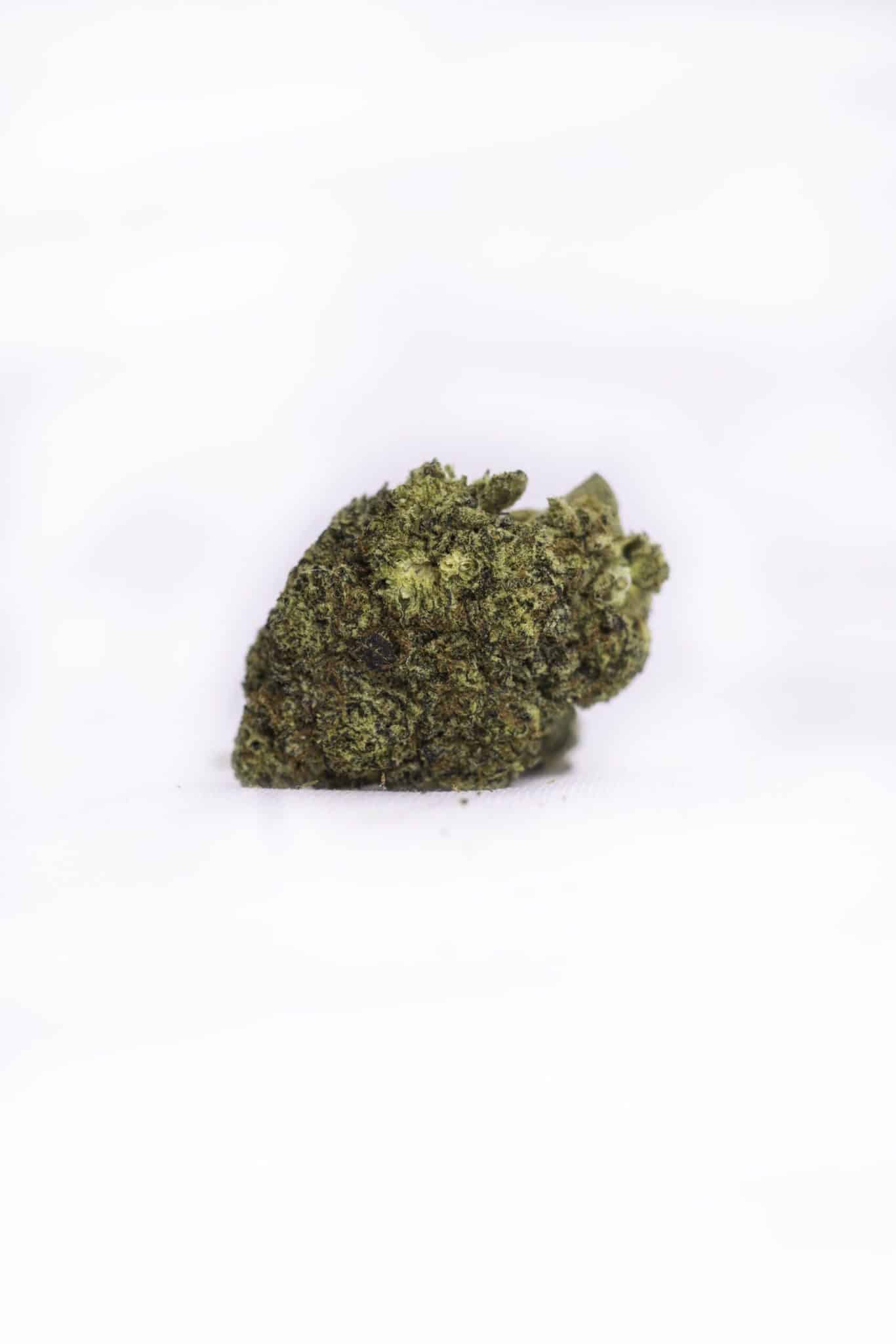 Biscotti (IDH)