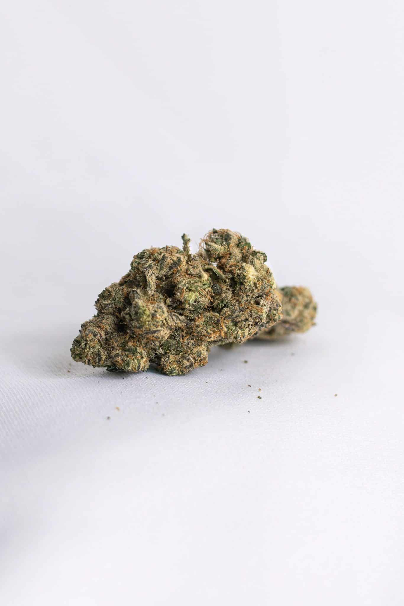 Black Cherry Gelato (IDH)