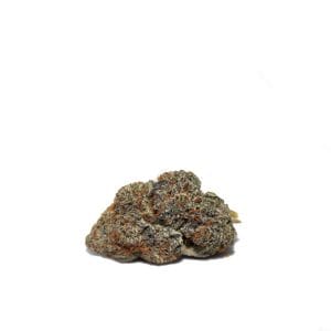 Gelato (H)