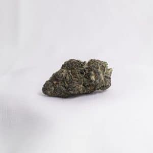 Tropical Cherry (H)