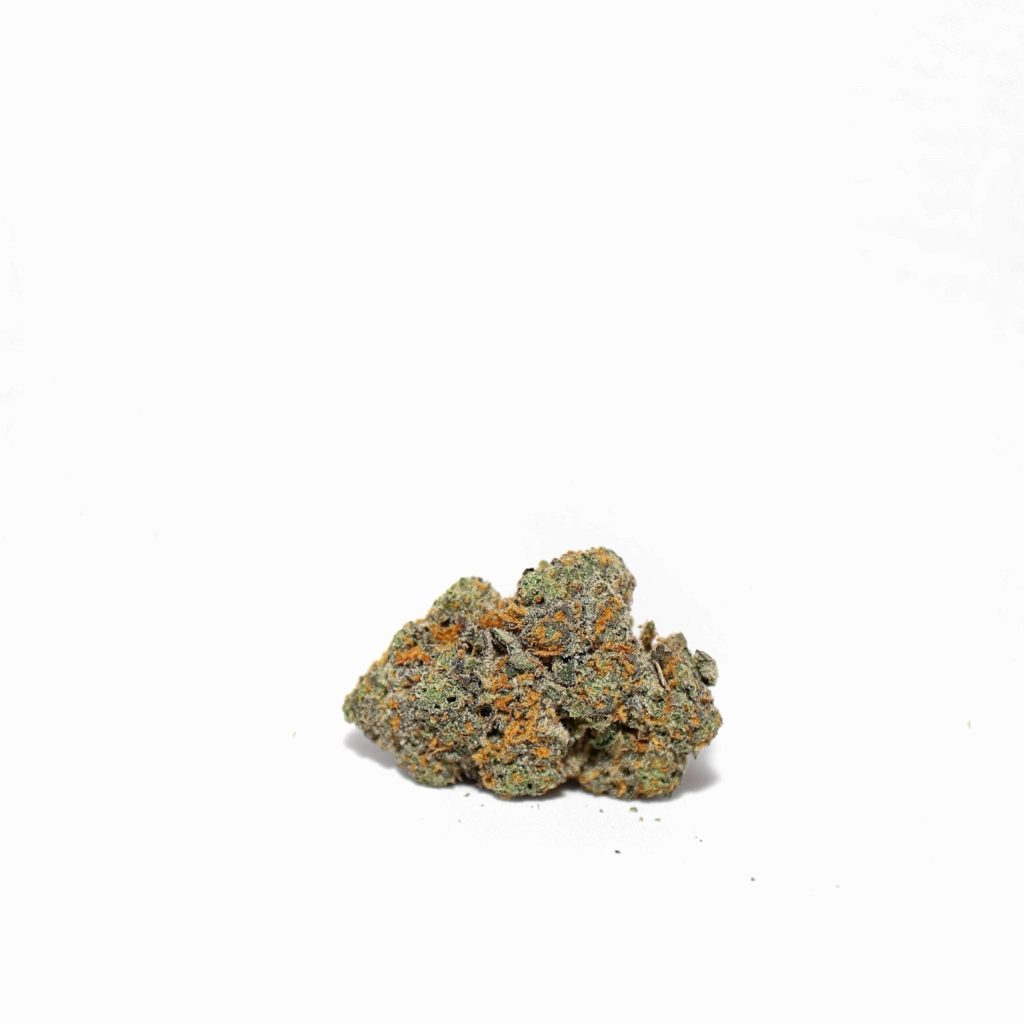 jefe-min-scaled-1.jpg