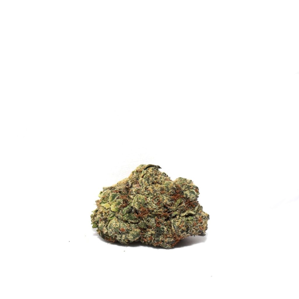 justlunz-min-scaled-1.jpg