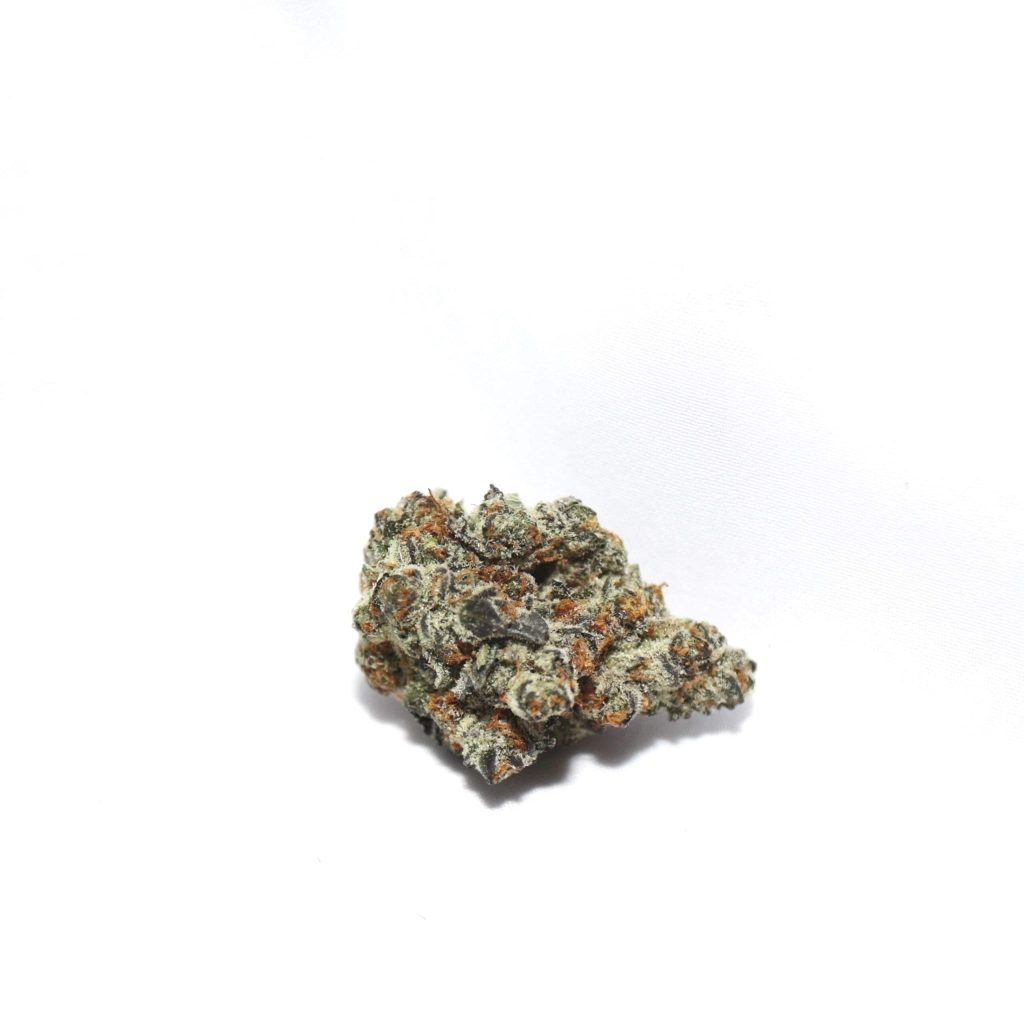 orangetomyz-min-scaled-1.jpg