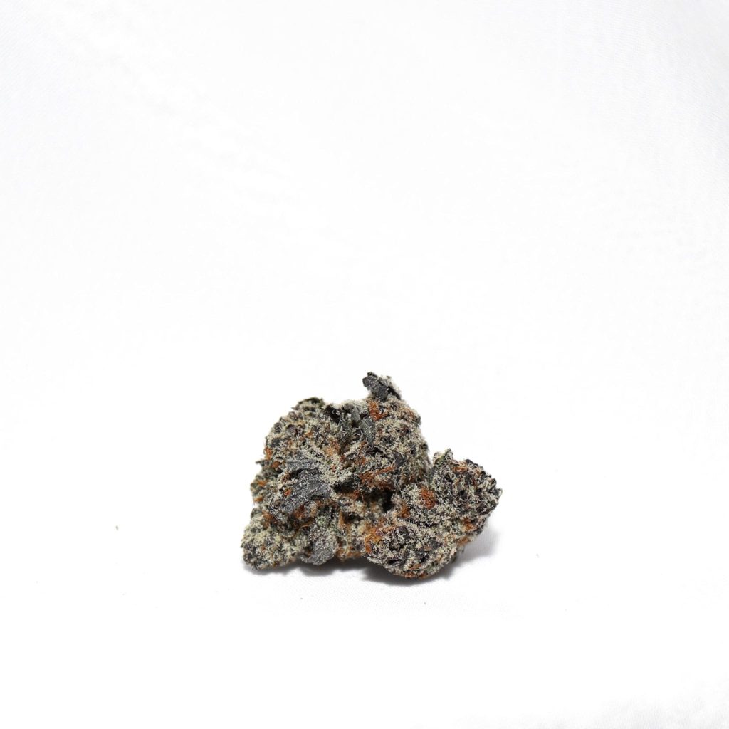 trufflez2-min-scaled-1.jpg