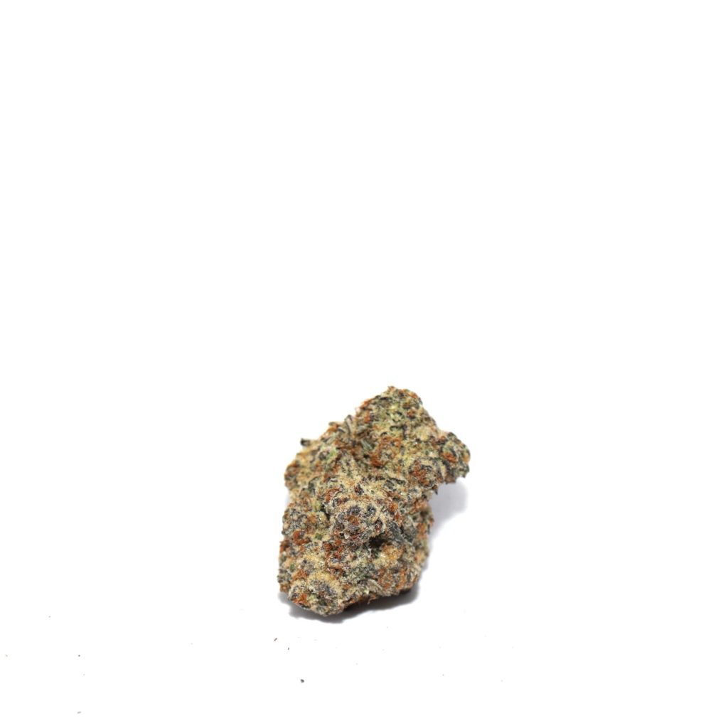 whitebacid-min-scaled-1.jpg